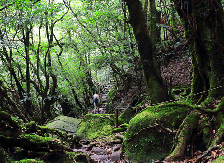 Hiking, Japan